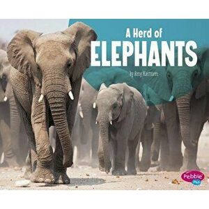 A Herd of Elephants, Paperback - Amy Kortuem imagine