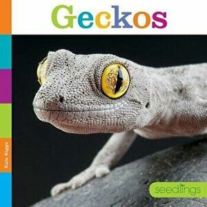 Seedlings: Geckos, Paperback - Kate Riggs imagine