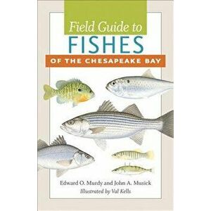 Field Guide to Fishes of the Chesapeake Bay, Paperback - Edward O. Murdy imagine