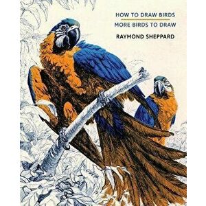 How to Draw Birds / More Birds to Draw, Paperback - Raymond Sheppard imagine