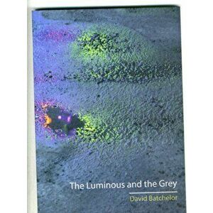 Luminous and the Grey, Paperback - David Batchelor imagine