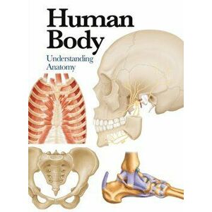 Human Body. Understanding Anatomy, Paperback - Jane de Burgh imagine