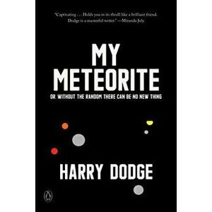 My Meteorite: Or, Without the Random There Can Be No New Thing, Paperback - Harry Dodge imagine