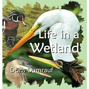 Life In A Wetland, Hardcover - Doris Dumrauf imagine