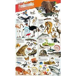 DKfindout! Animals Poster - *** imagine