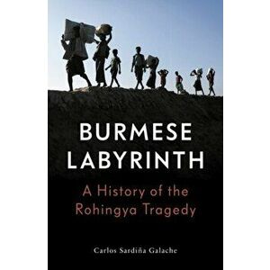 Burmese Labyrinth (Lbe), Hardback - Carlos Sardina Galache imagine