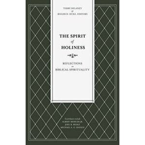 The Spirit of Holiness: Reflections on Biblical Spirituality, Paperback - Terry Delaney imagine