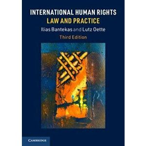 International Human Rights Law and Practice, Paperback - Lutz Oette imagine