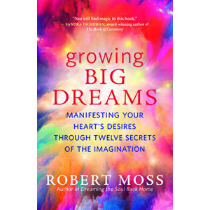 Growing Big Dreams: Manifesting Your Heart's Desires Through Twelve Secrets of the Imagination, Paperback - Robert Moss imagine