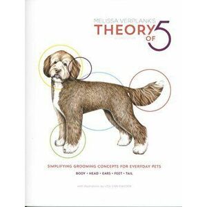 Theory Of 5, Paperback - Melissa Verplank imagine