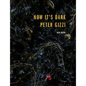 Now It's Dark, Paperback - Peter Gizzi imagine