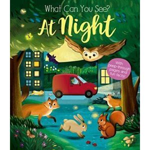 What Can You See At Night?, Board book - Kate Ware imagine