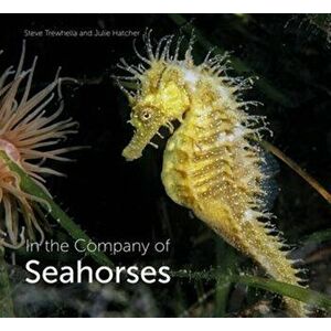 In the Company of Seahorses, Hardcover - Steve Trewhella imagine