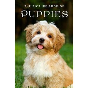 The Picture Book of Puppies: A Gift Book for Alzheimer's Patients and Seniors with Dementia, Paperback - Sunny Street Books imagine