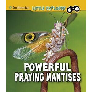 Powerful Praying Mantises, Paperback - Melissa Higgins imagine