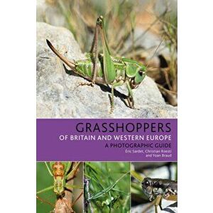 Grasshoppers of Britain and Western Europe. A Photographic Guide, Paperback - Yoan Braud imagine