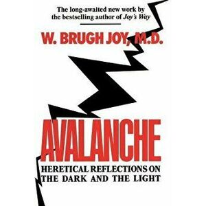 Avalanche: Heretical Reflections on the Dark and the Light, Paperback - W. Brugh Joy imagine