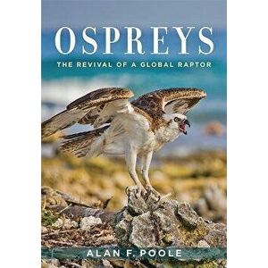 Ospreys: The Revival of a Global Raptor, Hardcover - Alan F. Poole imagine
