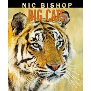 Nic Bishop Big Cats, Hardcover - Nic Bishop imagine