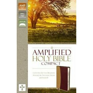 Amplified Bible-Am-Compact: Captures the Full Meaning Behind the Original Greek and Hebrew - Zondervan imagine