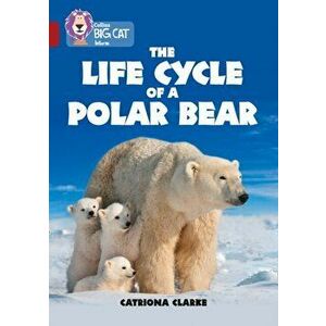 Life Cycle of a Polar Bear. Band 14/Ruby, Paperback - Catriona Clarke imagine