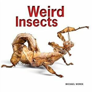 Weird Insects, Paperback - Michael Worek imagine