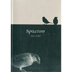 Sparrow, Paperback - Kim Todd imagine