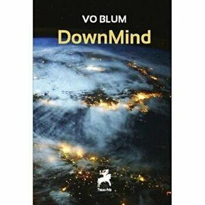 DownMind - VO Blum imagine