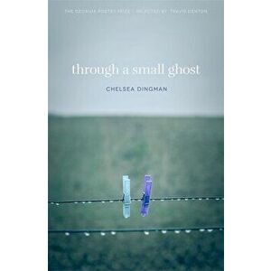 Through a Small Ghost: Poems, Paperback - Chelsea Dingman imagine