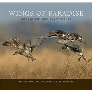 Wings of Paradise: Birds of the Louisiana Wetlands, Hardcover - Charlie, Jr. Hohorst imagine