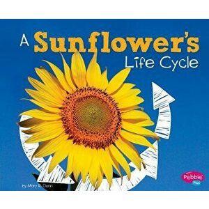 Life Cycle of a Sunflower imagine