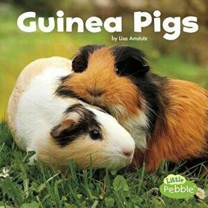 Guinea Pigs, Paperback - Lisa J. Amstutz imagine