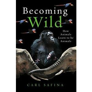 Becoming Wild. How Animals Learn to be Animals, Hardback - Carl Safina imagine
