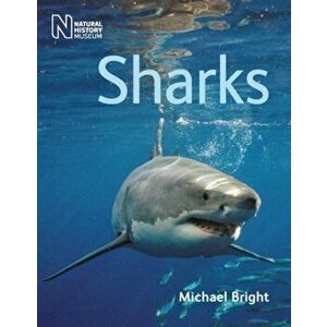 Sharks, Paperback - Michael Bright imagine
