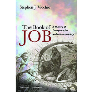 The Book of Job, Paperback - Stephen J. Vicchio imagine