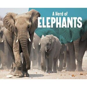 Herd of Elephants, Paperback - Amy Kortuem imagine