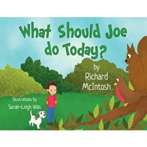 What Should Joe Do Today?, Paperback - Richard McIntosh imagine