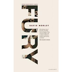 FURY, Paperback - David Morley imagine