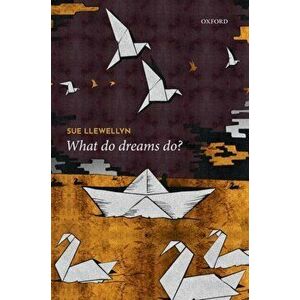What Do Dreams Do?, Hardback - Sue Llewellyn imagine