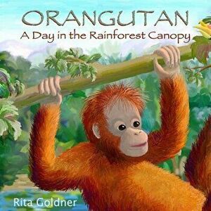 Orangutan: A Day in the Rainforest Canopy, Paperback - Rita Goldner imagine