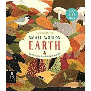 Small Worlds: Earth, Board book - Camilla De La Bedoyere imagine
