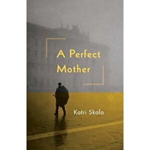 The Perfect Mother, Paperback imagine