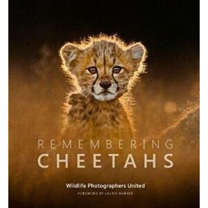 Remembering Cheetahs, Hardback - *** imagine