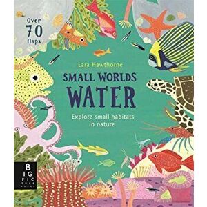 Small Worlds: Water, Board book - Lily Murray imagine