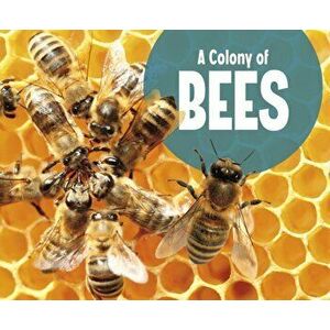 Colony of Bees, Paperback - Lucia Raatma imagine