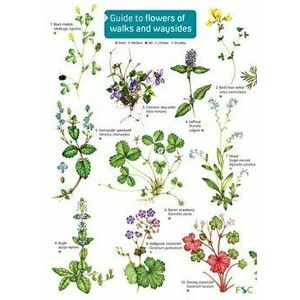 Guide to flowers of walks and waysides, Hardback - Rebecca Farley-Brown imagine