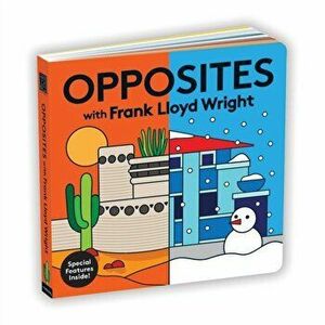 Frank Lloyd Wright imagine