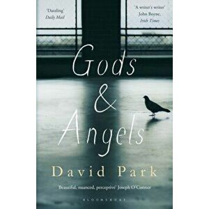 Gods and Angels, Paperback - David Park imagine