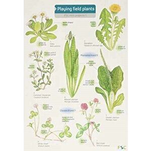 Playing Field Plants - Rebecca Farley imagine