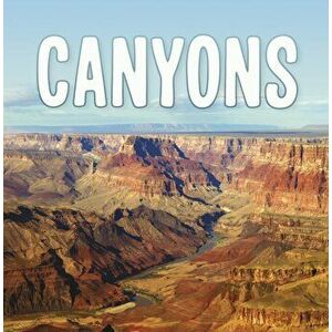 Canyons, Paperback - Lisa J. Amstutz imagine